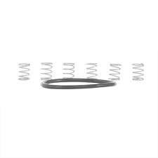 INDUSTRY 9, I9 PAWL SPRING, SILVER, TORCH KIT 6 PCS.